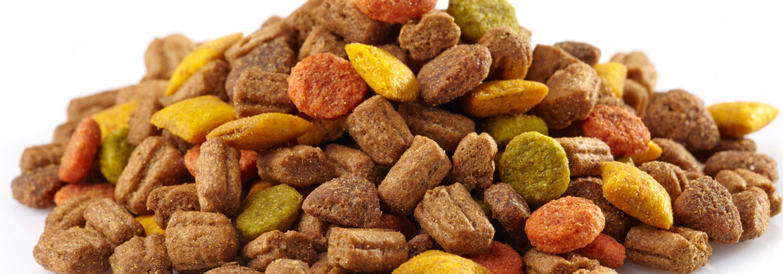 Nutrition animal