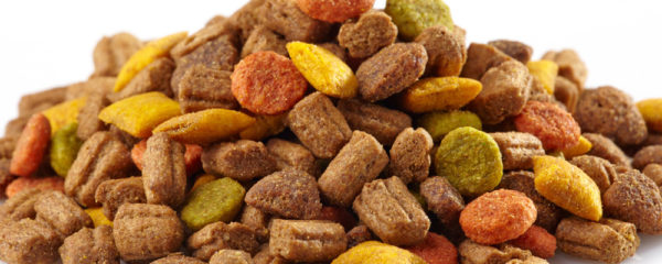 Nutrition animal