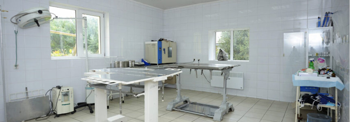 clinique vétérinaire