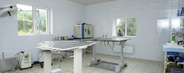 clinique vétérinaire